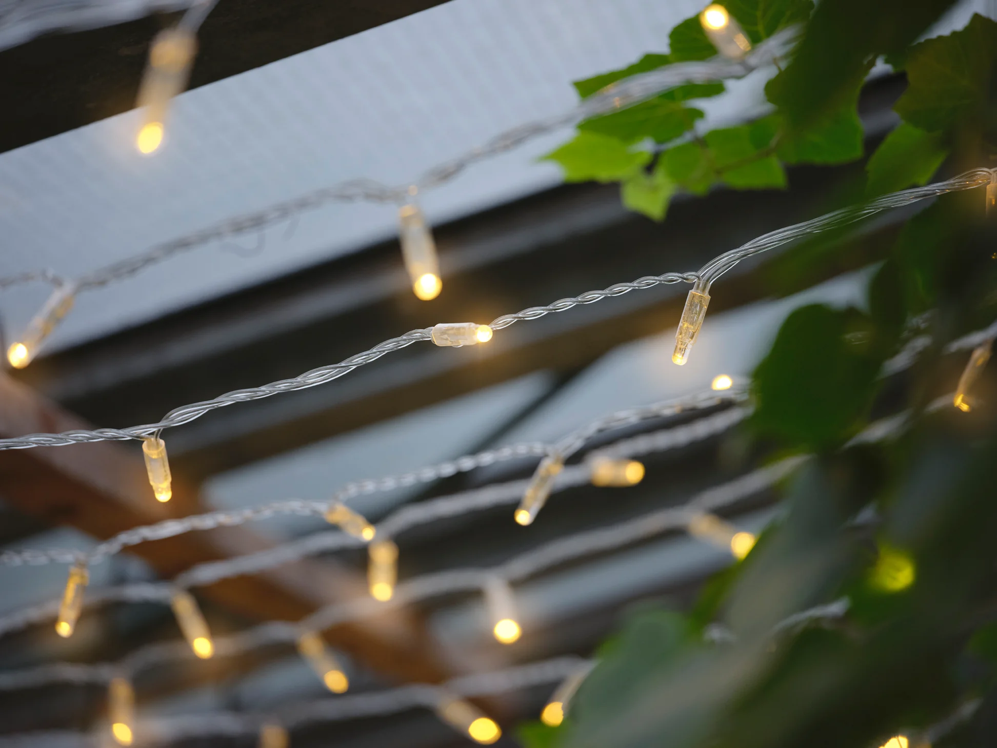 Illuminez Vos Plus Beaux Instants