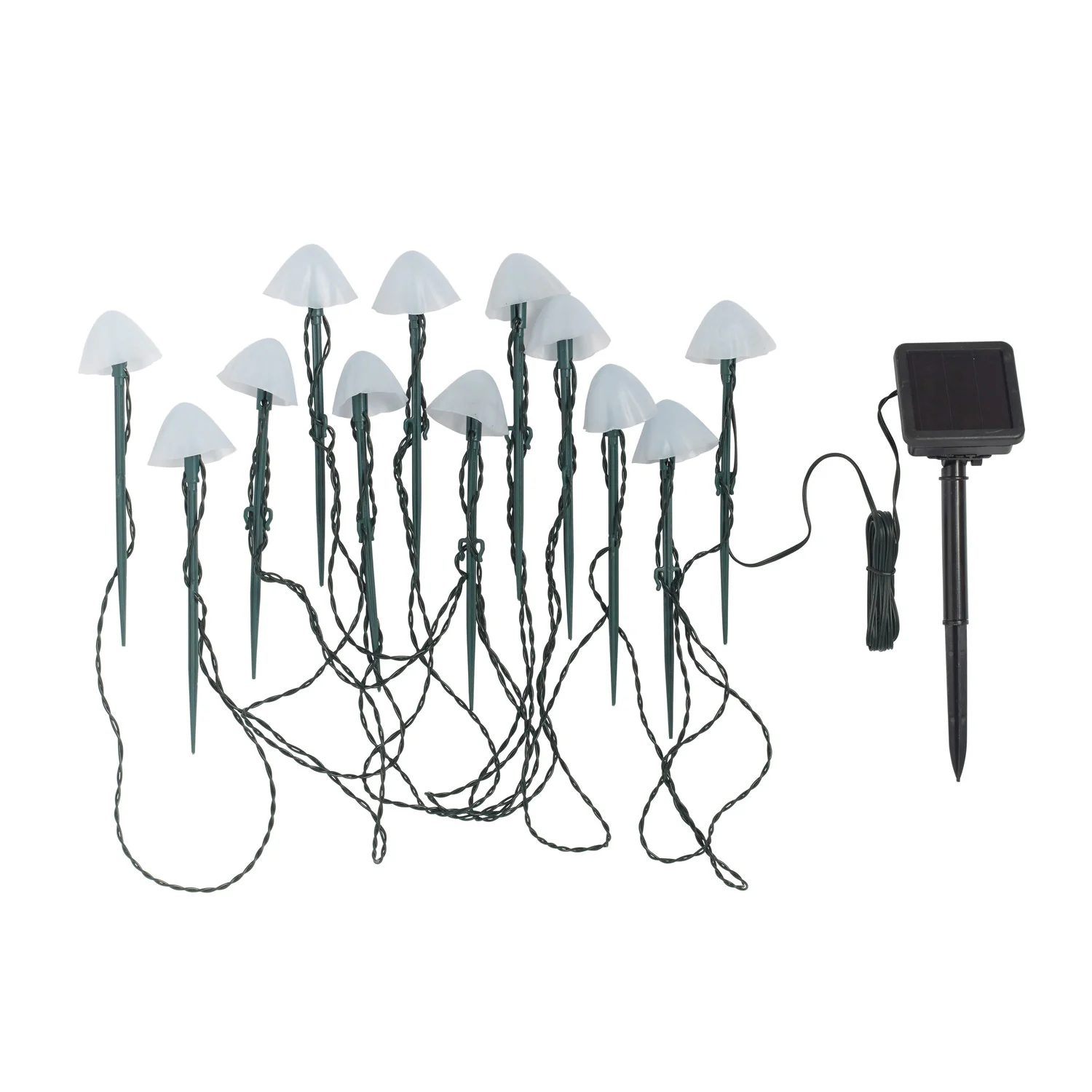 Image du produit 10
